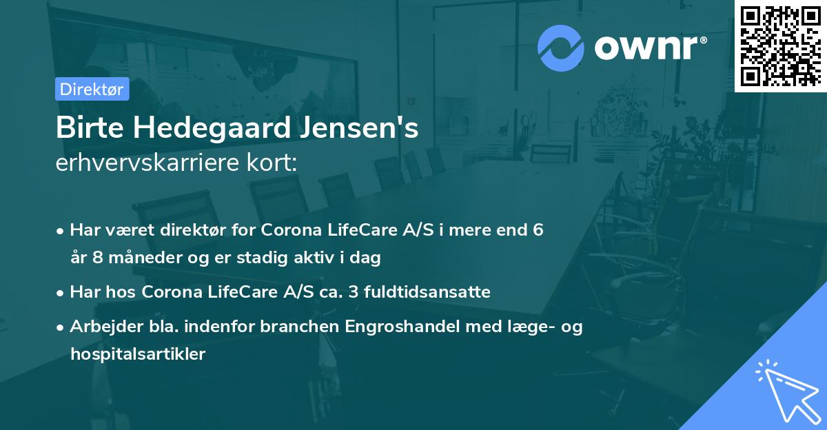 Birte Hedegaard Jensen's erhvervskarriere kort