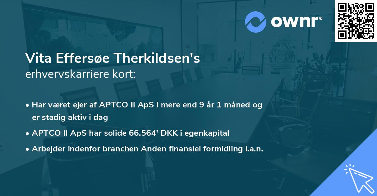 Vita Effersøe Therkildsen's erhvervskarriere kort