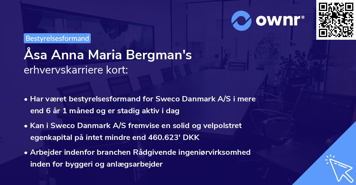 Åsa Anna Maria Bergman's erhvervskarriere kort