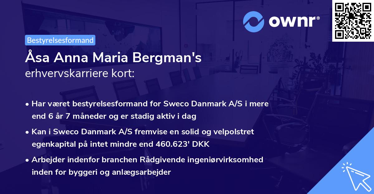 Åsa Anna Maria Bergman's erhvervskarriere kort