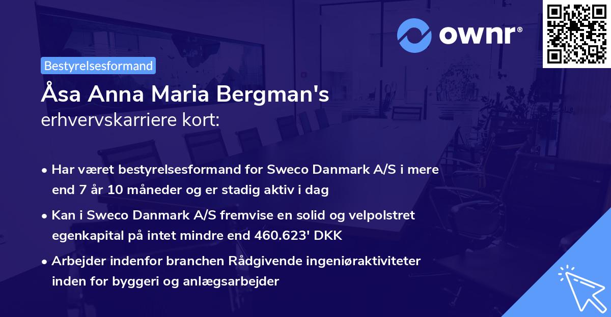 Åsa Anna Maria Bergman's erhvervskarriere kort