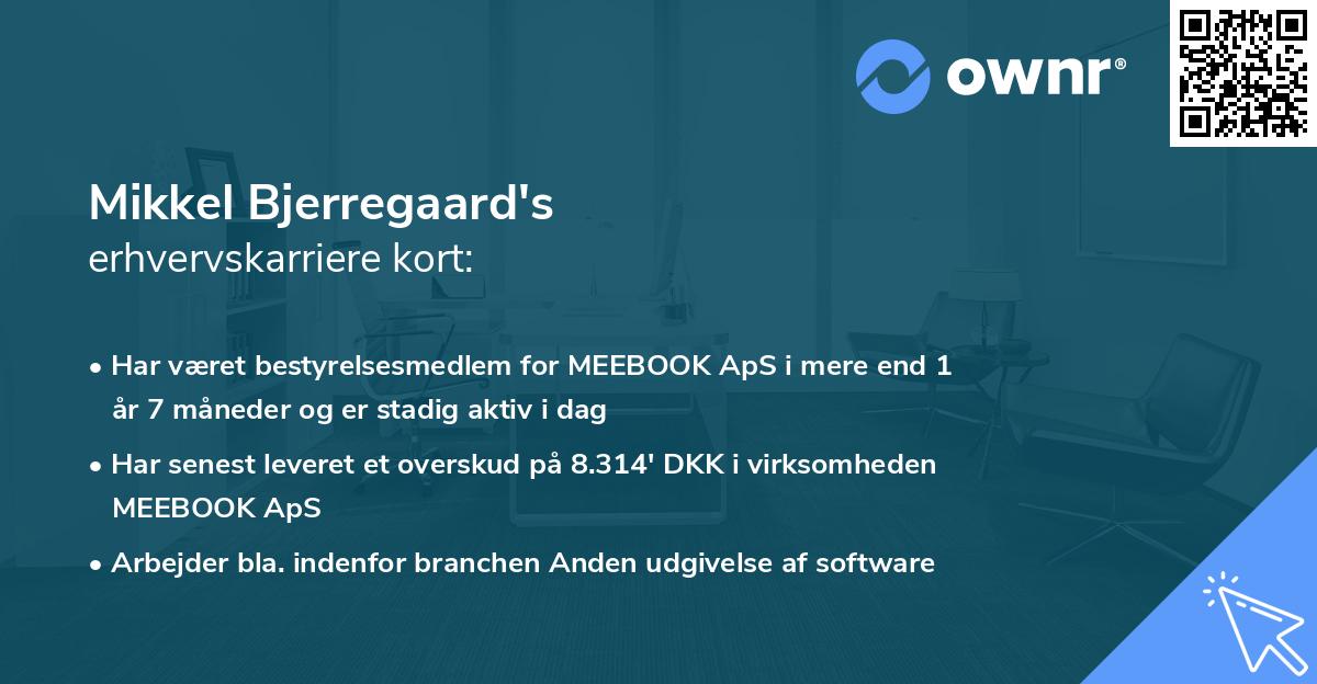 Mikkel Bjerregaard's erhvervskarriere kort