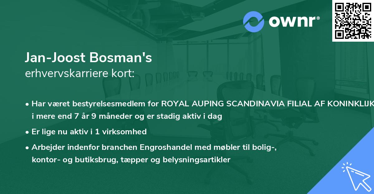 Jan-Joost Bosman's erhvervskarriere kort