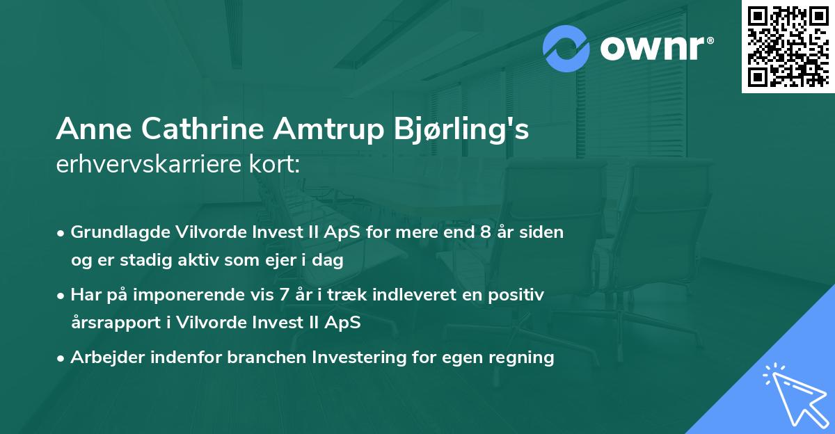 Anne Cathrine Amtrup Bjørling's erhvervskarriere kort