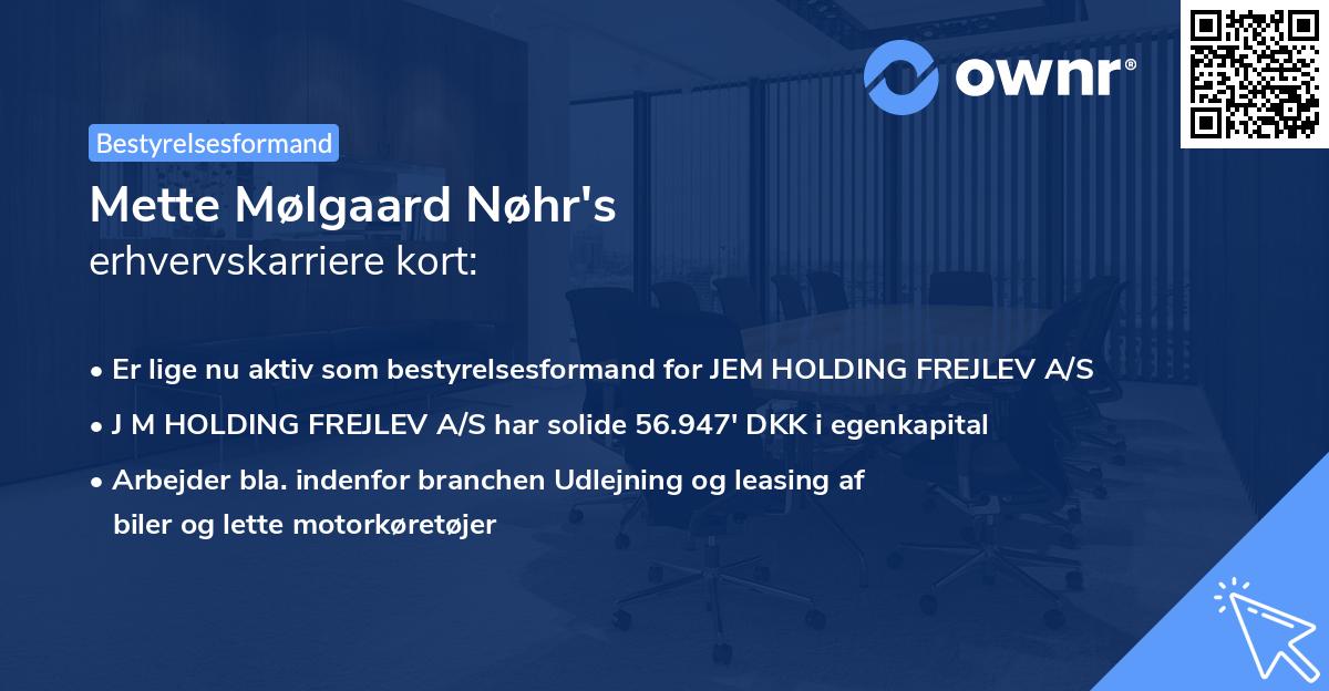 Mette Mølgaard Nøhr's erhvervskarriere kort