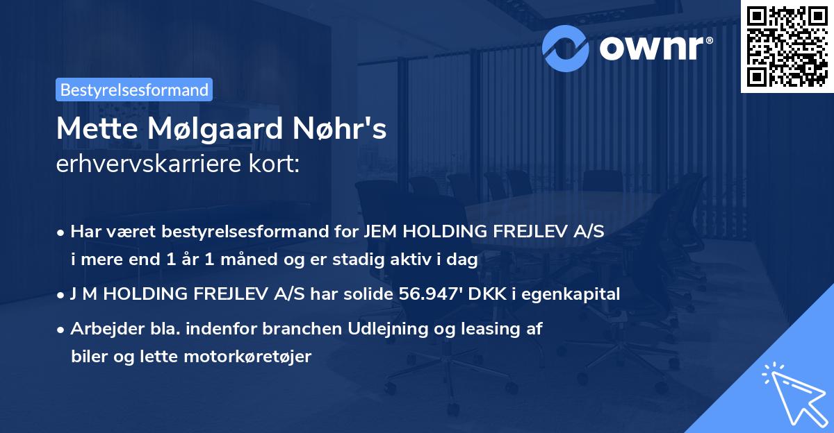Mette Mølgaard Nøhr's erhvervskarriere kort