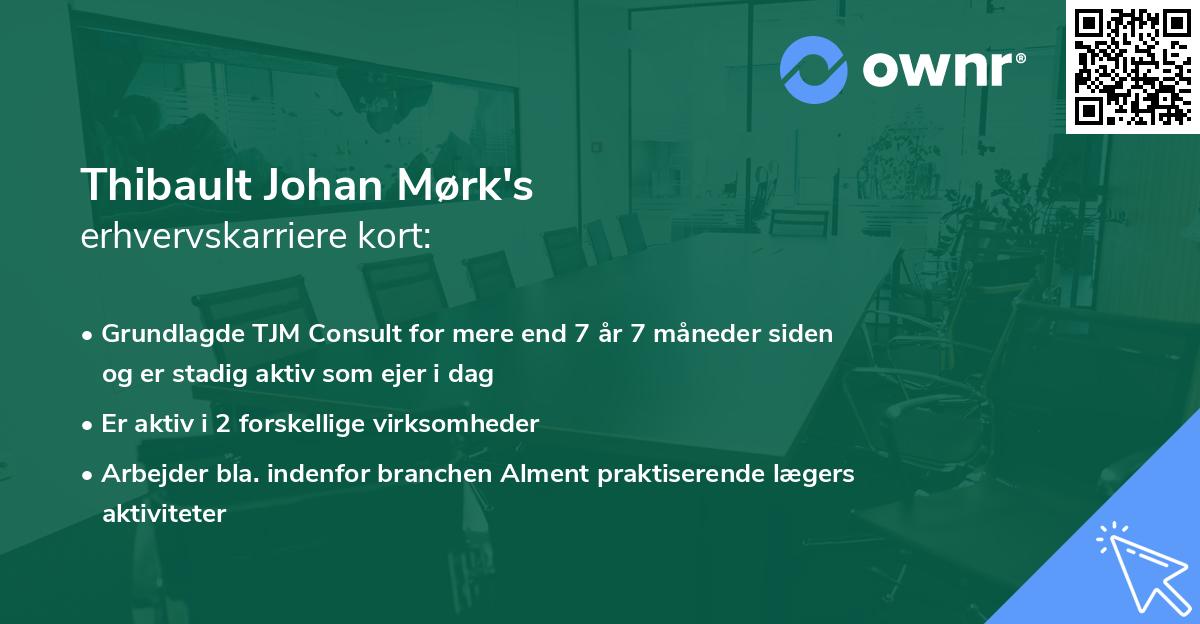 Thibault Johan Mørk's erhvervskarriere kort