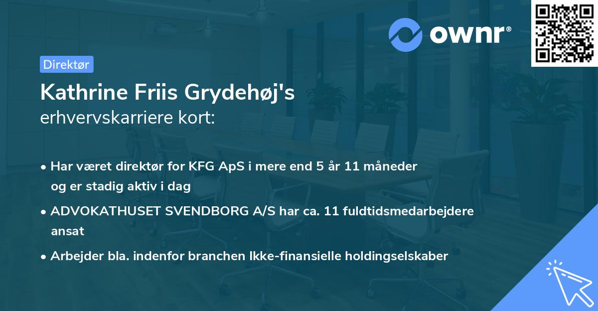 Kathrine Friis Grydehøj's erhvervskarriere kort