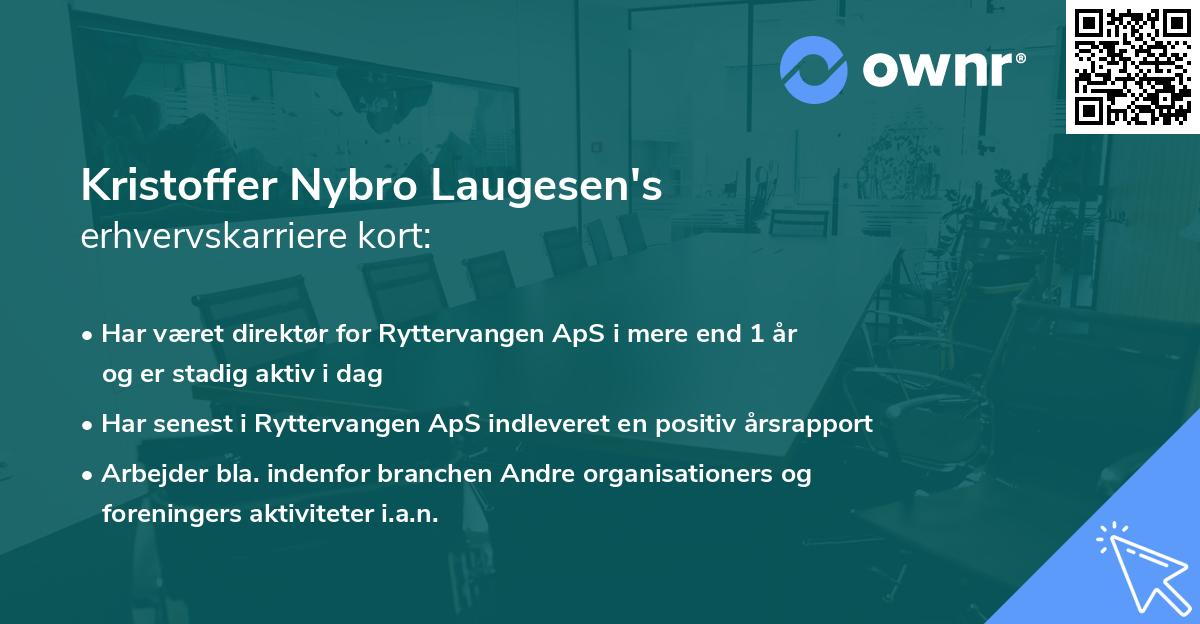 Kristoffer Nybro Laugesen's erhvervskarriere kort