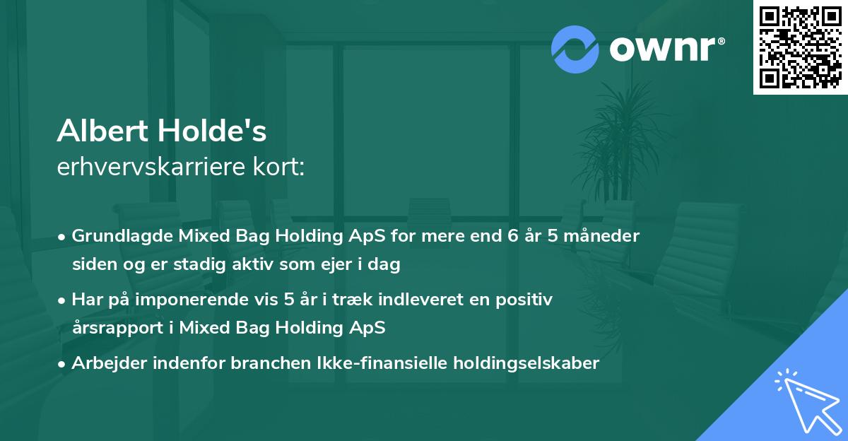 Albert Holde's erhvervskarriere kort