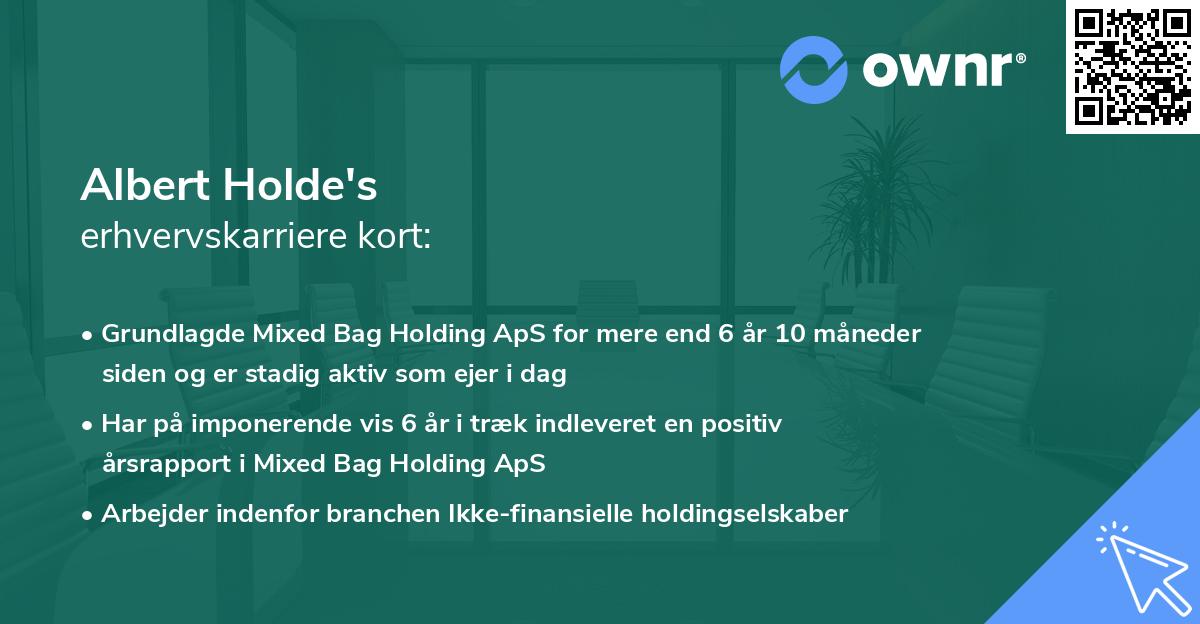 Albert Holde's erhvervskarriere kort