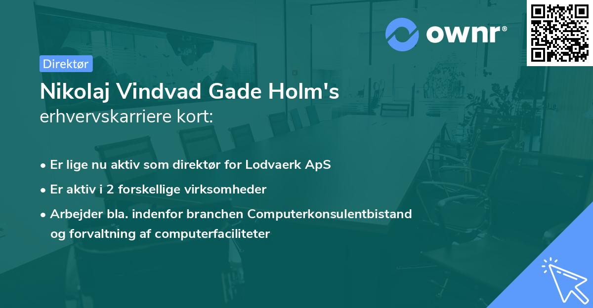 Nikolaj Vindvad Gade Holm's erhvervskarriere kort