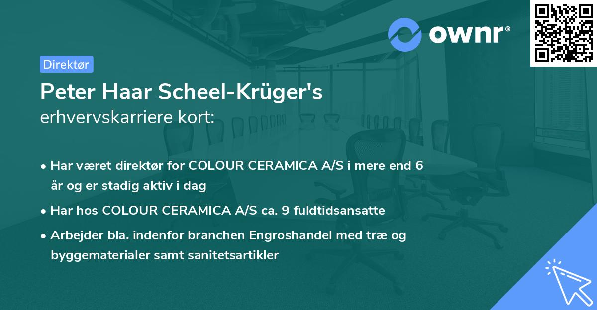 Peter Haar Scheel-Krüger's erhvervskarriere kort