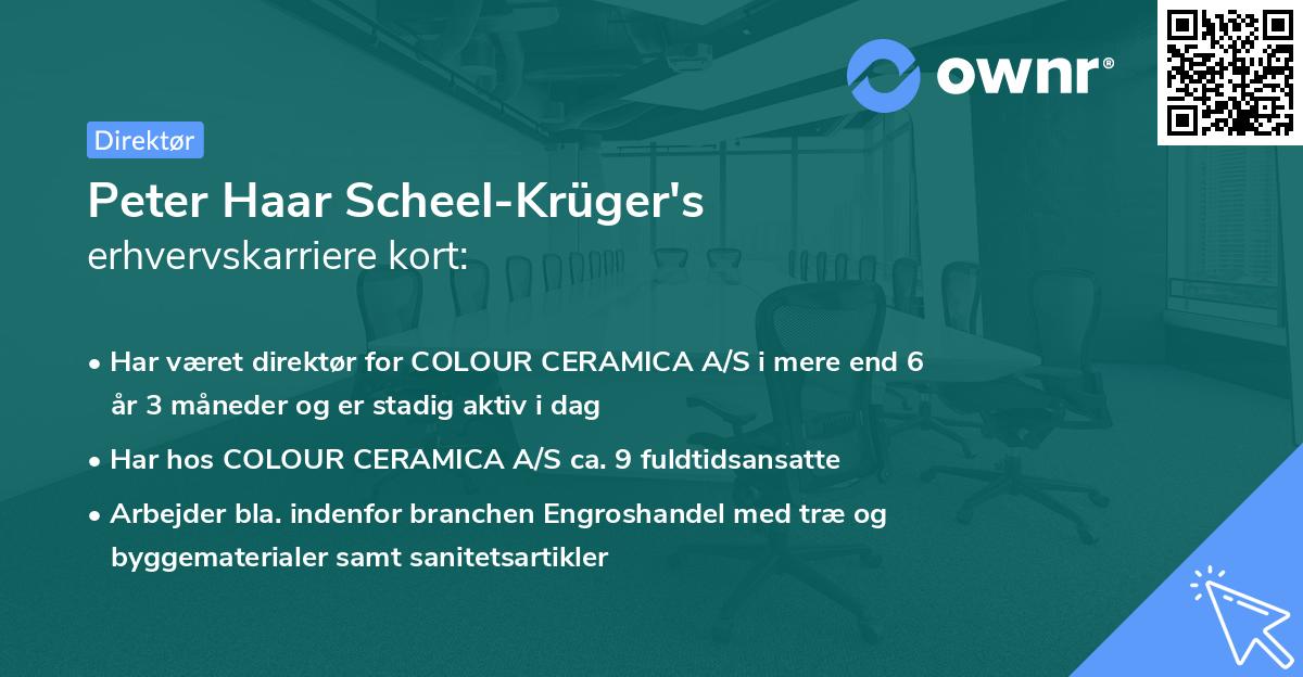 Peter Haar Scheel-Krüger's erhvervskarriere kort