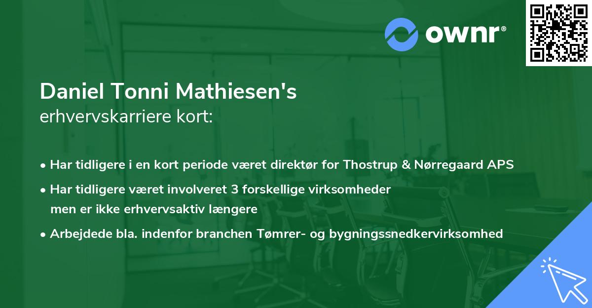 Daniel Tonni Mathiesen's erhvervskarriere kort
