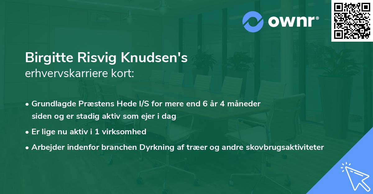 Birgitte Risvig Knudsen's erhvervskarriere kort