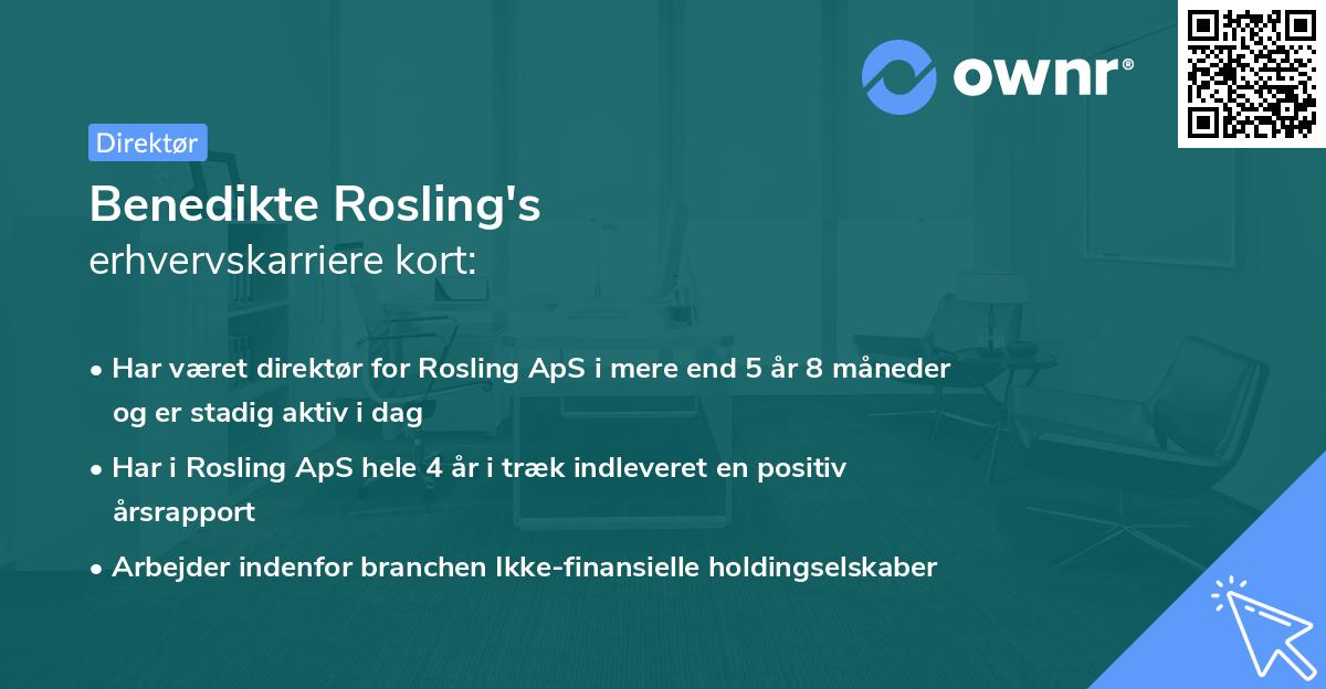 Benedikte Rosling's erhvervskarriere kort