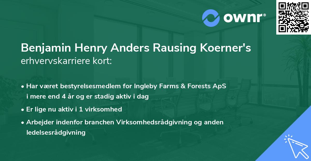 Benjamin Henry Anders Rausing Koerner's erhvervskarriere kort