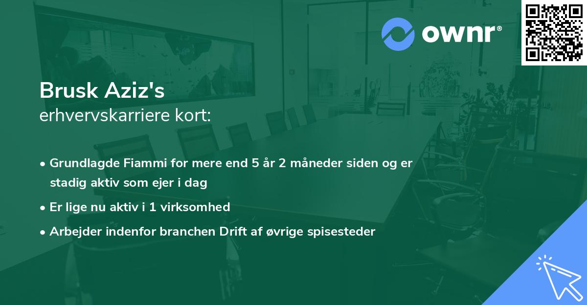 Brusk Aziz's erhvervskarriere kort