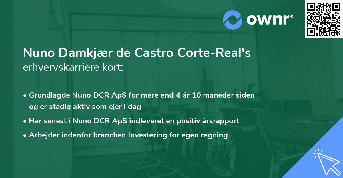 Nuno Damkjær de Castro Corte-Real's erhvervskarriere kort