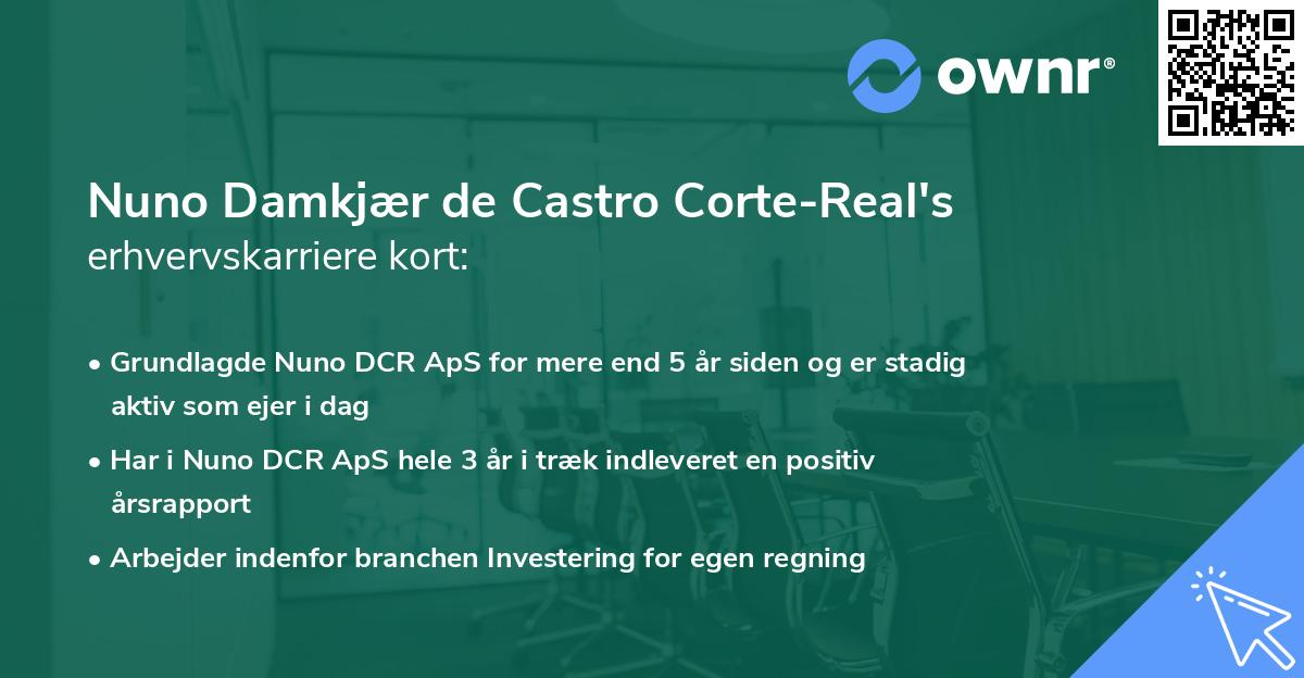 Nuno Damkjær de Castro Corte-Real's erhvervskarriere kort