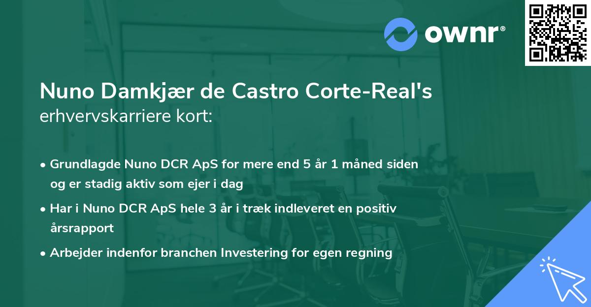 Nuno Damkjær de Castro Corte-Real's erhvervskarriere kort