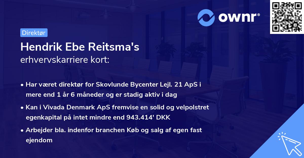 Hendrik Ebe Reitsma's erhvervskarriere kort