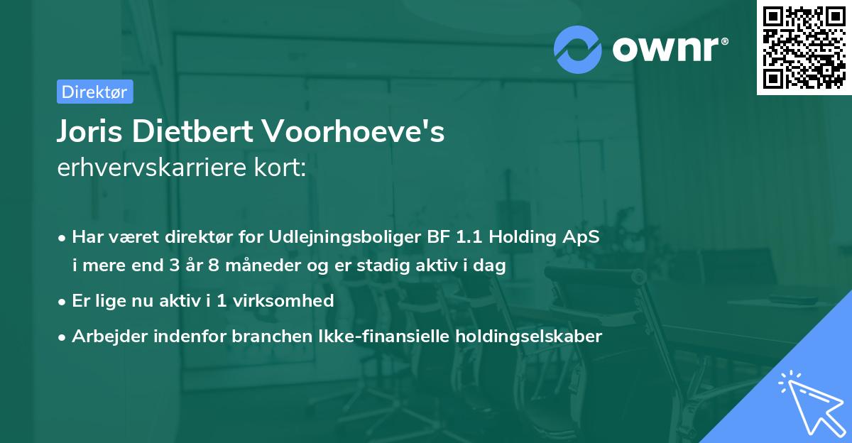 Joris Dietbert Voorhoeve's erhvervskarriere kort