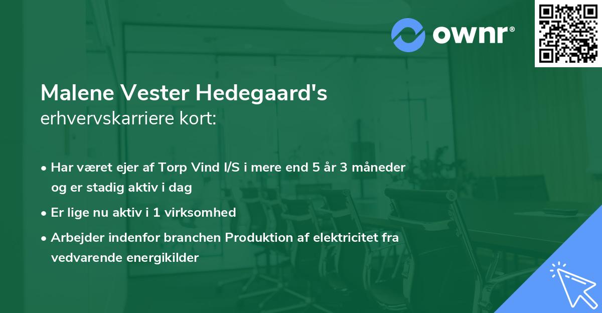Malene Vester Hedegaard's erhvervskarriere kort