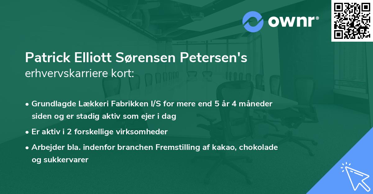 Patrick Elliott Sørensen Petersen's erhvervskarriere kort