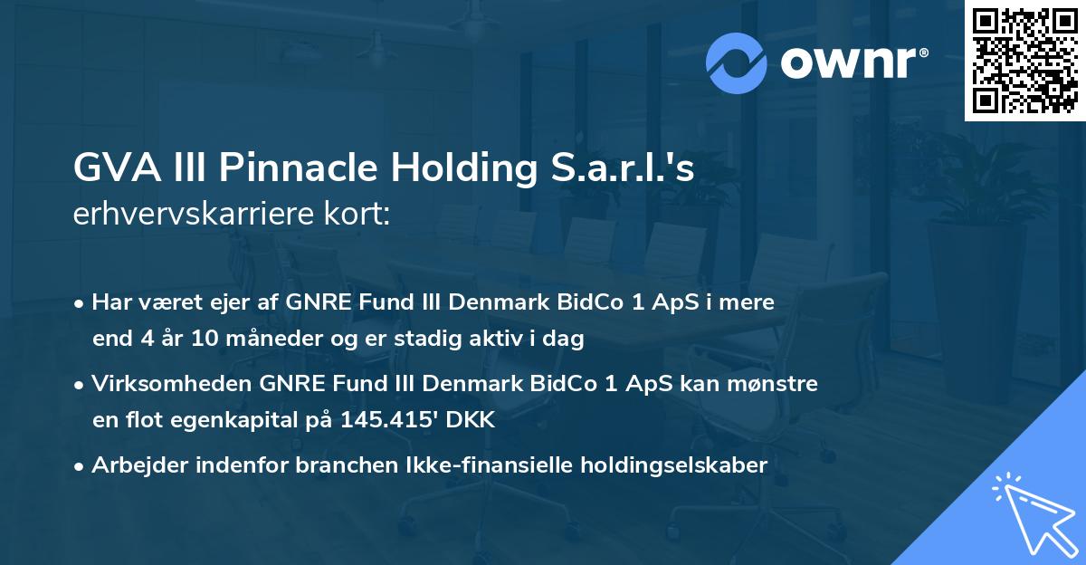 GVA III Pinnacle Holding S.a.r.l.'s erhvervskarriere kort