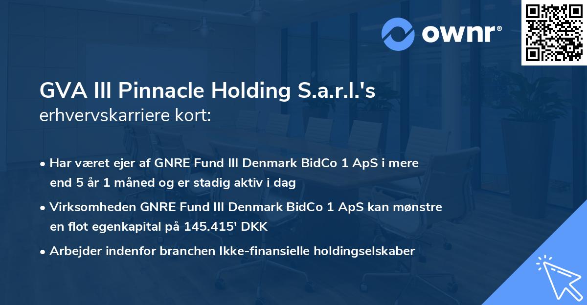 GVA III Pinnacle Holding S.a.r.l.'s erhvervskarriere kort