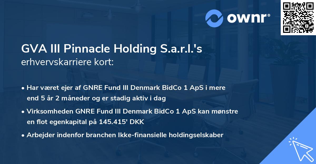 GVA III Pinnacle Holding S.a.r.l.'s erhvervskarriere kort