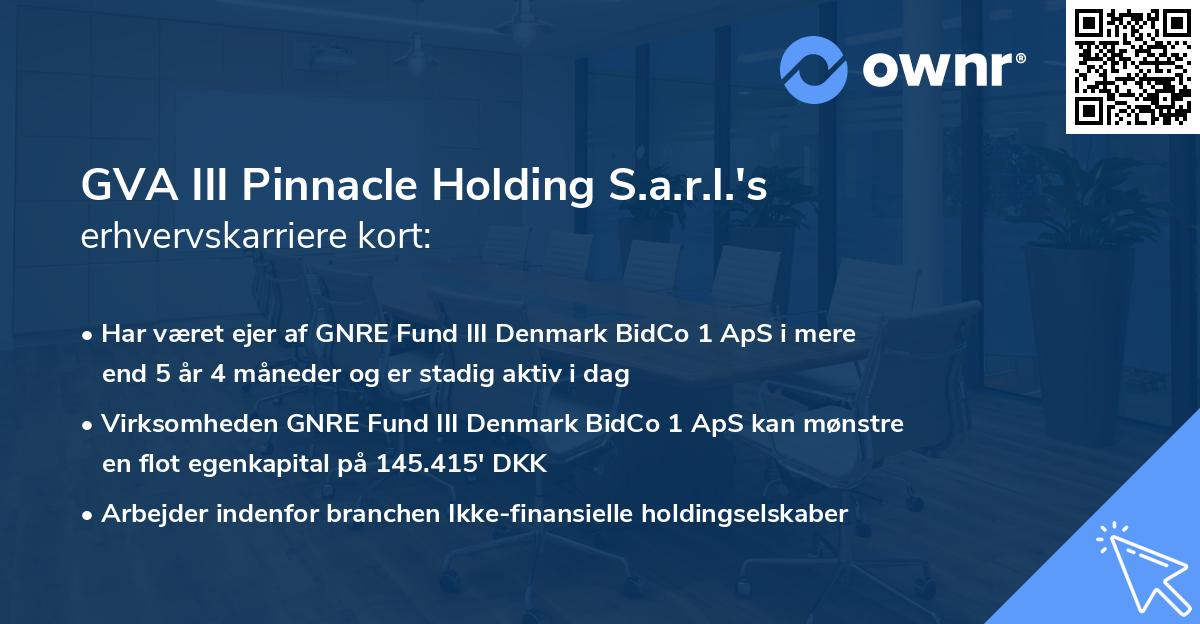 GVA III Pinnacle Holding S.a.r.l.'s erhvervskarriere kort