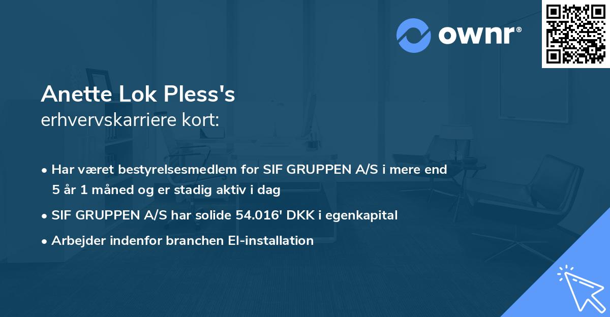 Anette Lok Pless's erhvervskarriere kort