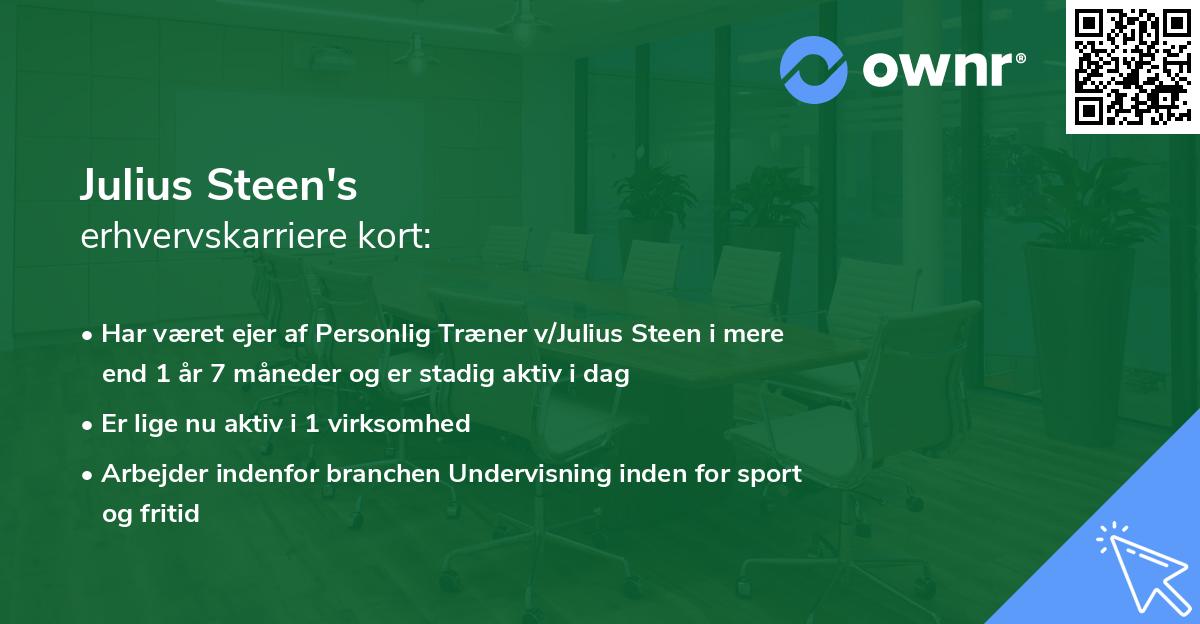 Julius Steen's erhvervskarriere kort