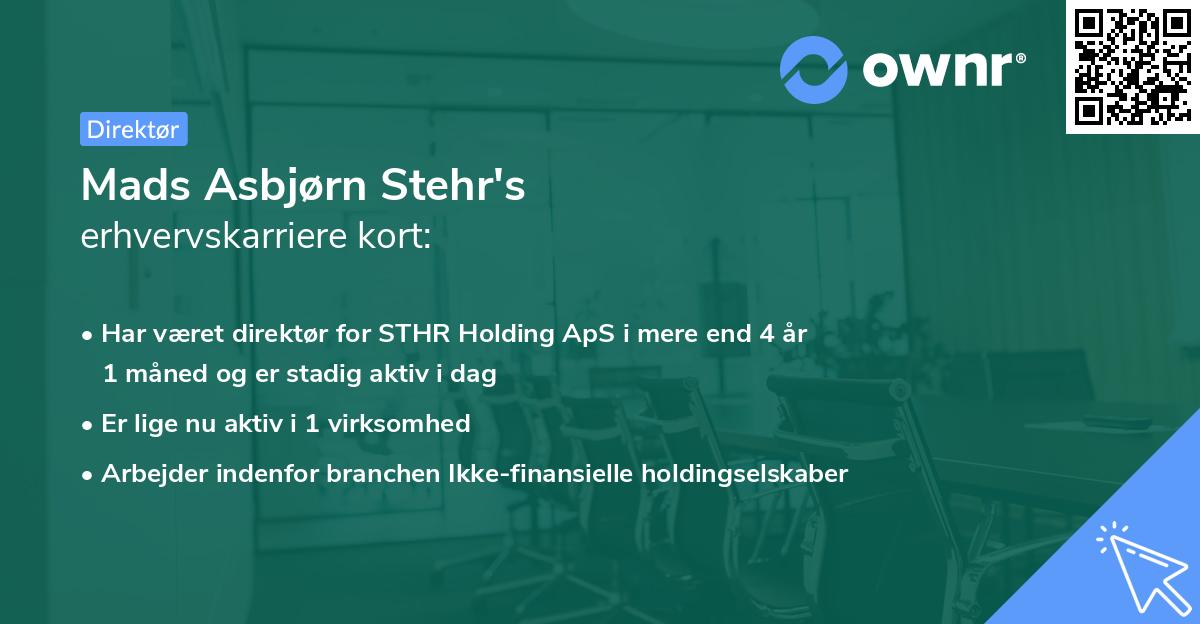Mads Asbjørn Stehr's erhvervskarriere kort