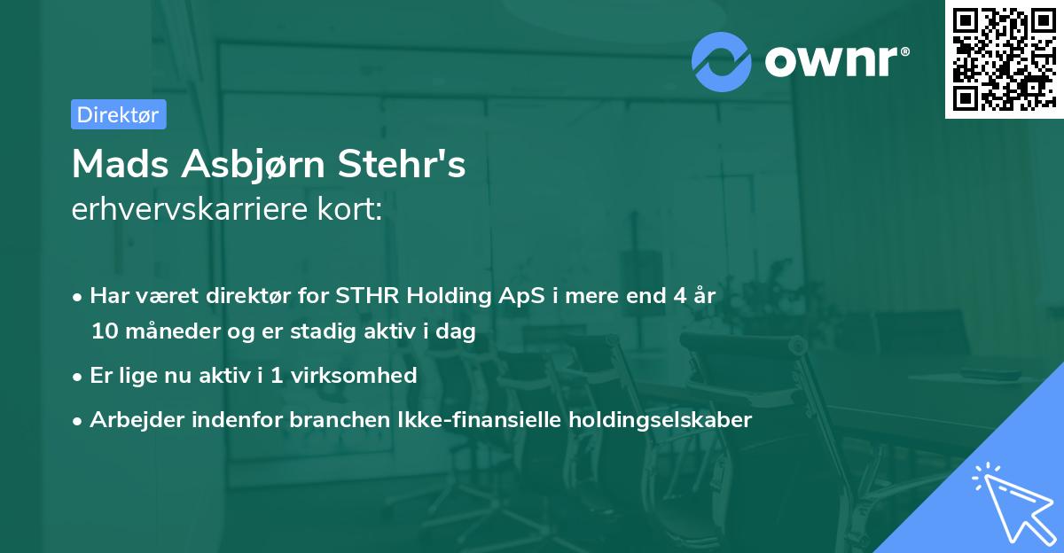 Mads Asbjørn Stehr's erhvervskarriere kort
