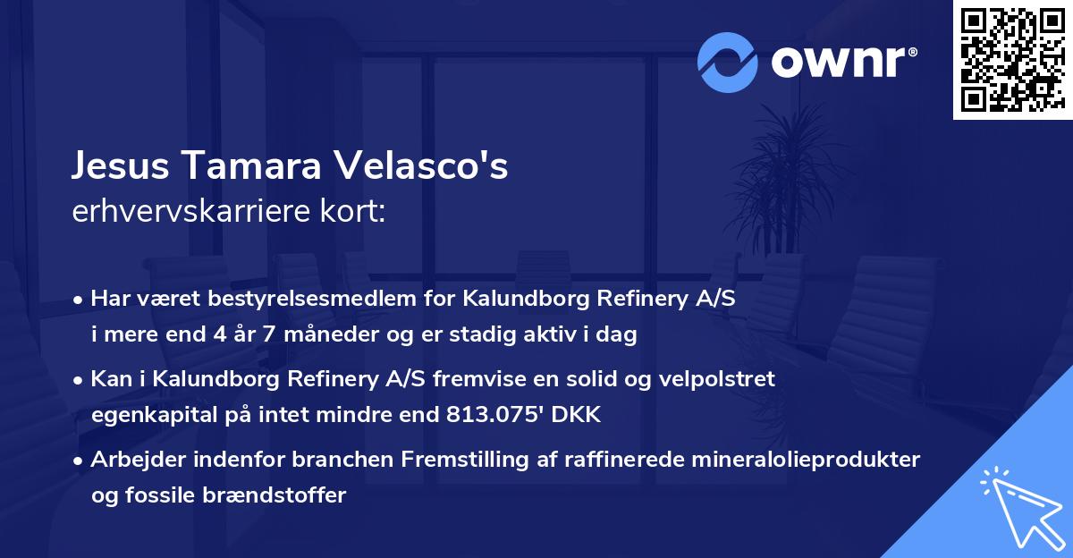 Jesus Tamara Velasco's erhvervskarriere kort