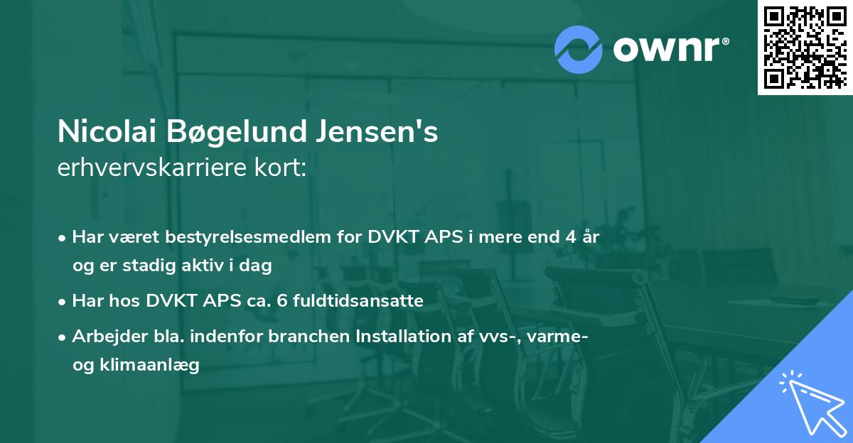 Nicolai Bøgelund Jensen's erhvervskarriere kort