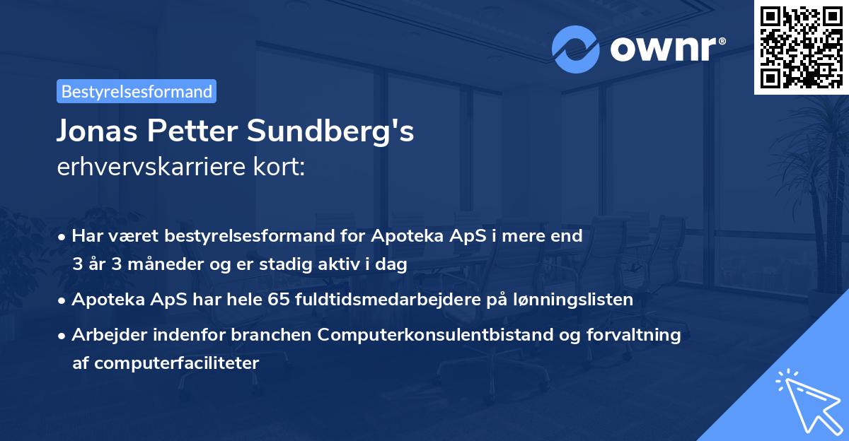 Jonas Petter Sundberg's erhvervskarriere kort