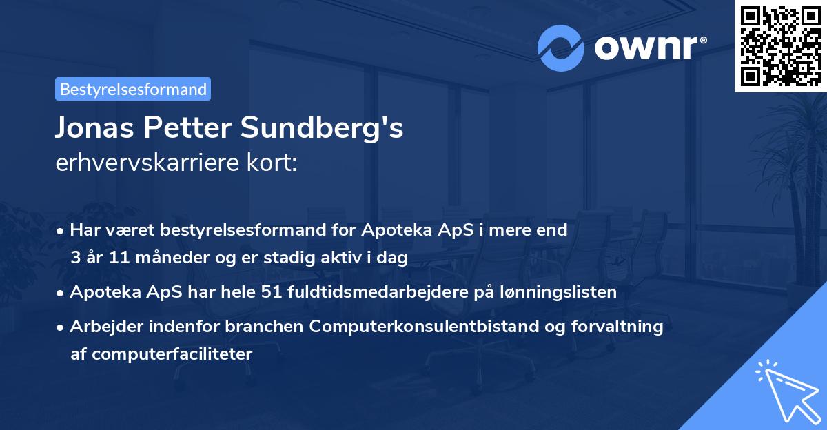 Jonas Petter Sundberg's erhvervskarriere kort