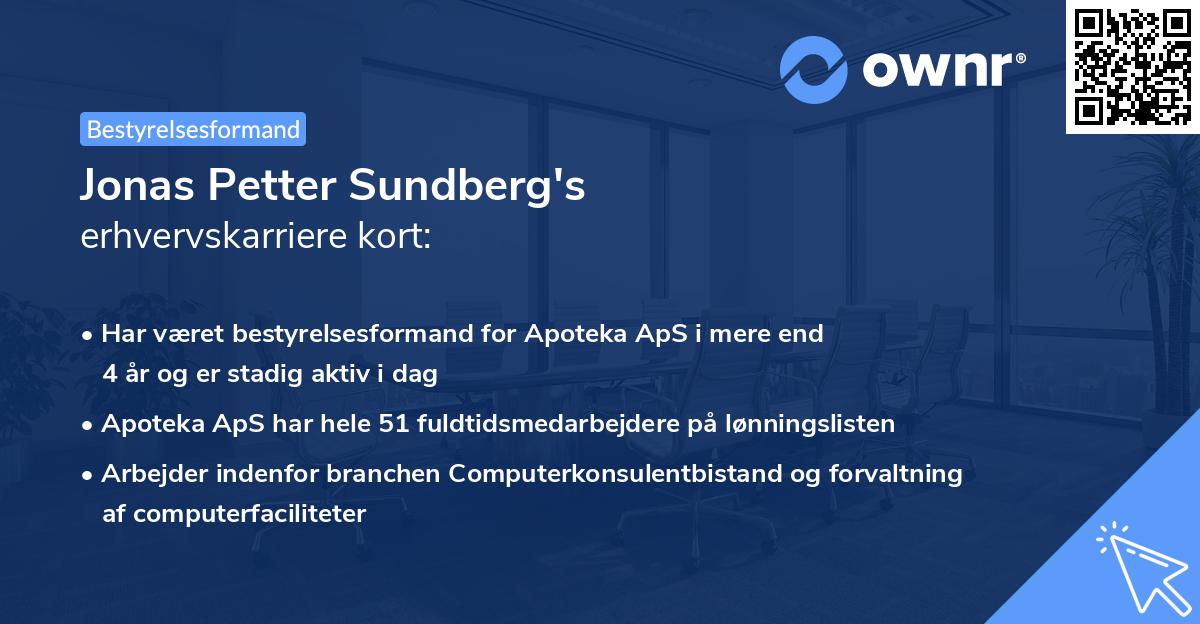Jonas Petter Sundberg's erhvervskarriere kort