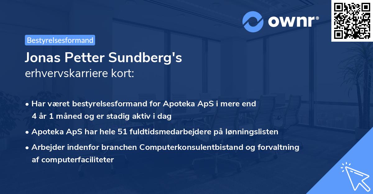 Jonas Petter Sundberg's erhvervskarriere kort