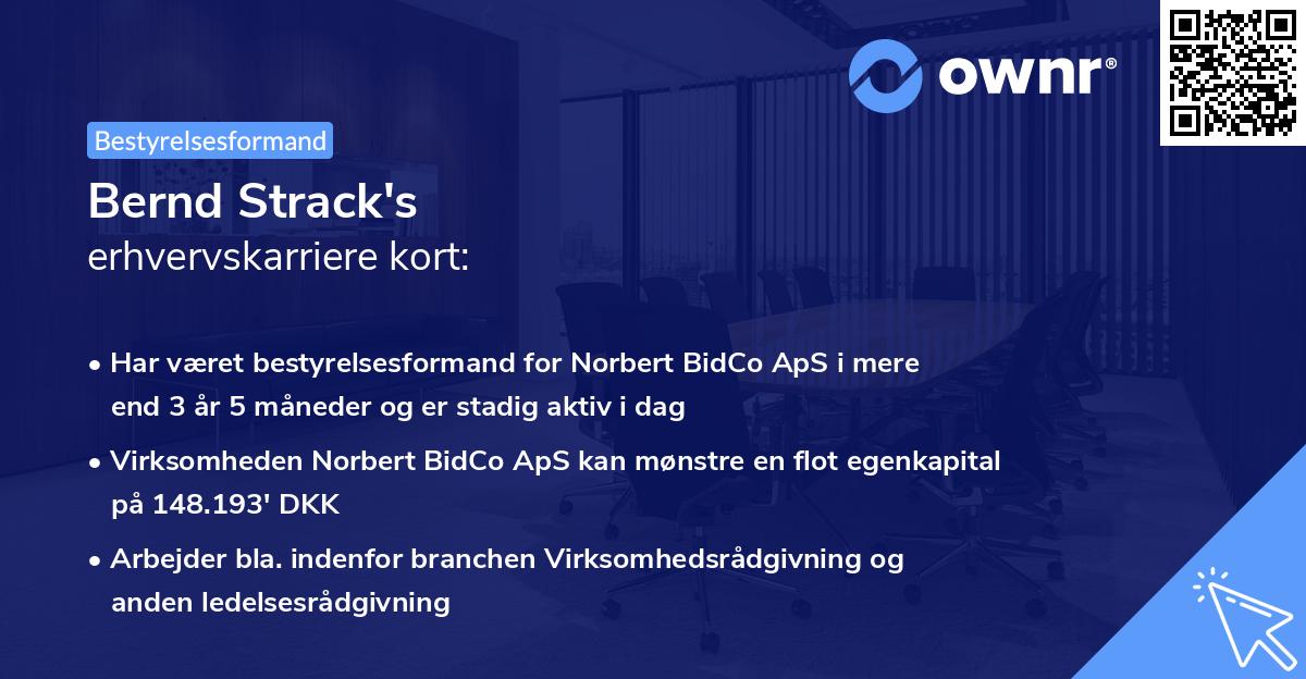 Bernd Strack's erhvervskarriere kort
