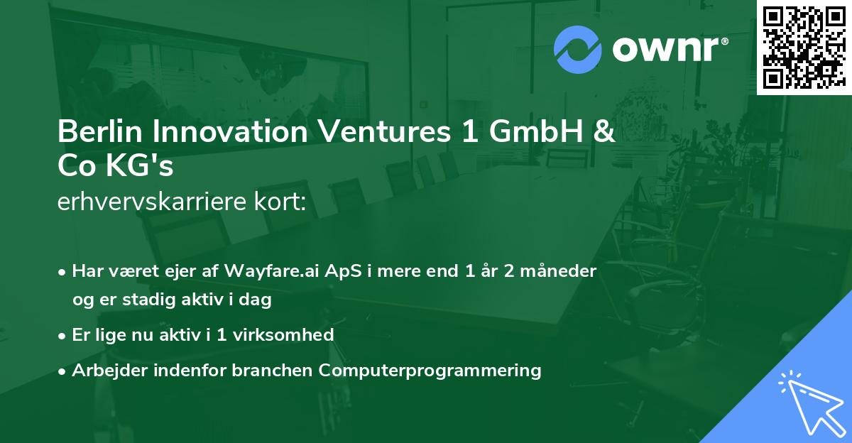 Berlin Innovation Ventures 1 GmbH & Co KG's erhvervskarriere kort