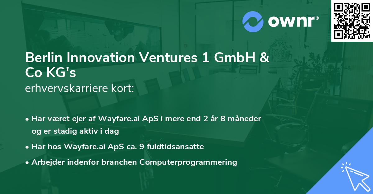 Berlin Innovation Ventures 1 GmbH & Co KG's erhvervskarriere kort
