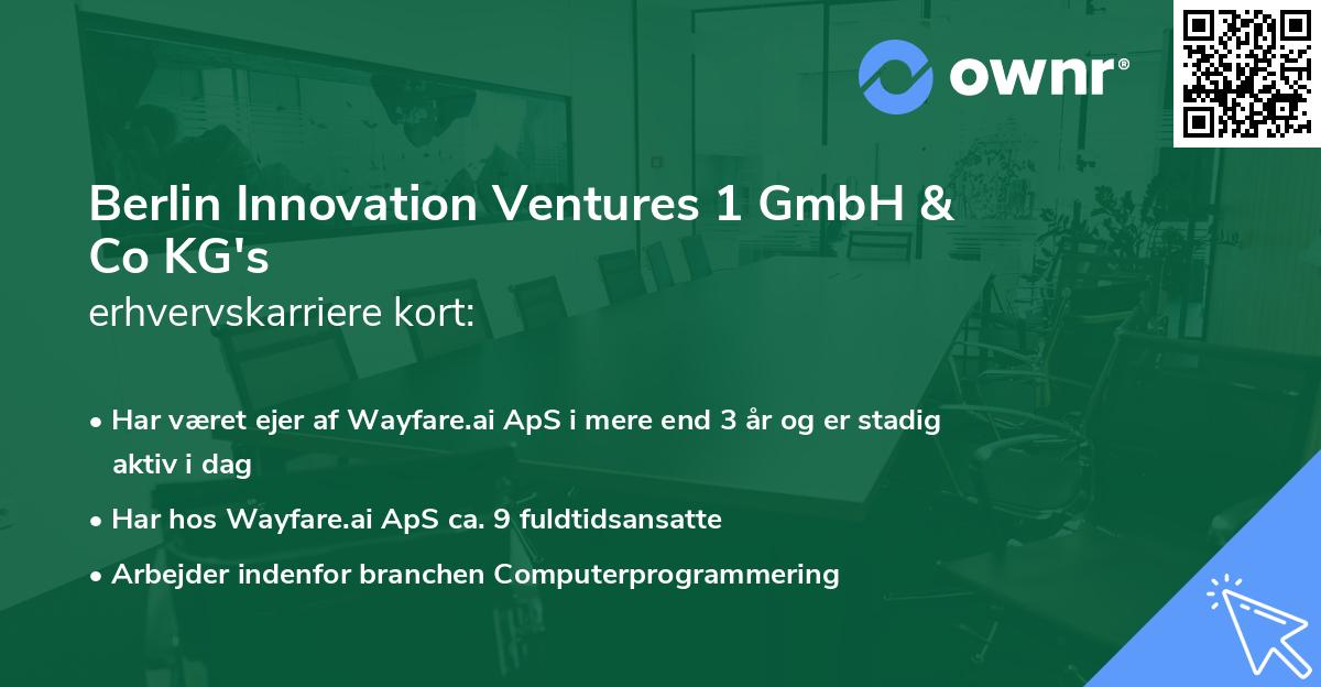 Berlin Innovation Ventures 1 GmbH & Co KG's erhvervskarriere kort