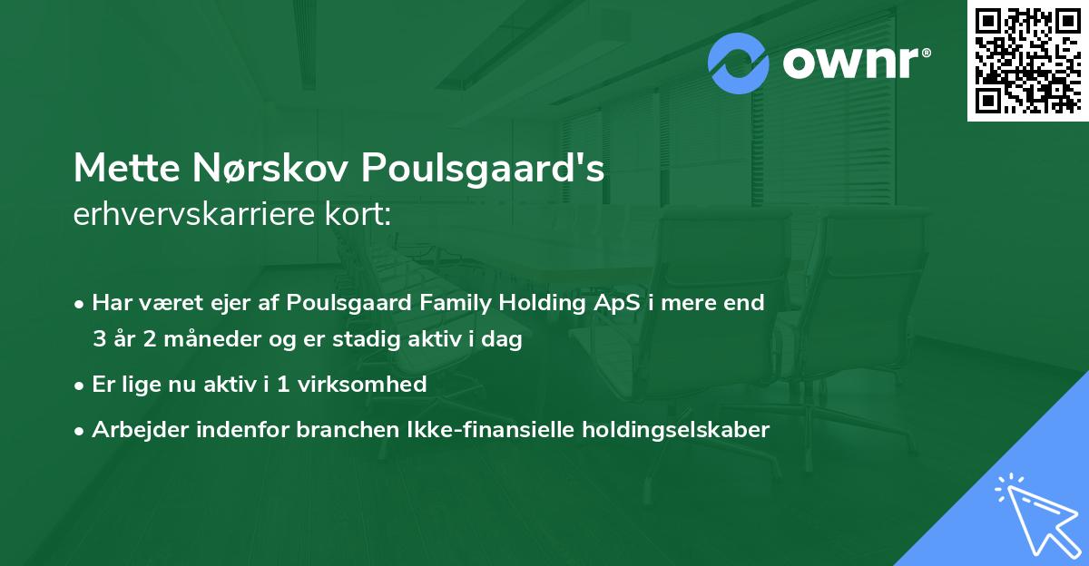 Mette Nørskov Poulsgaard's erhvervskarriere kort