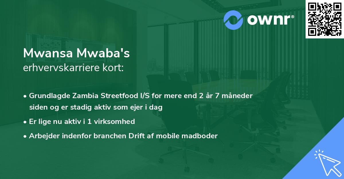 Mwansa Mwaba's erhvervskarriere kort